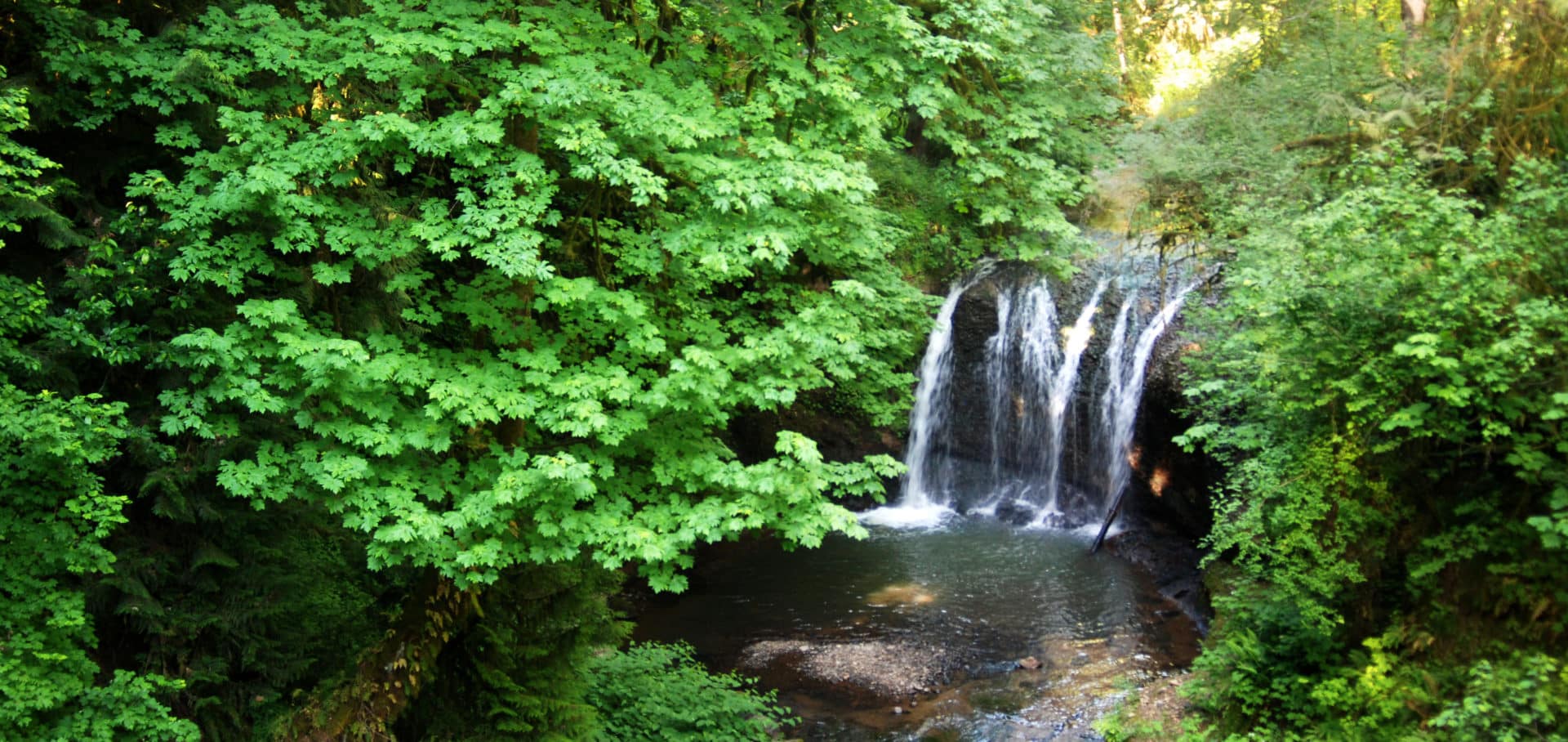 hidden falls park