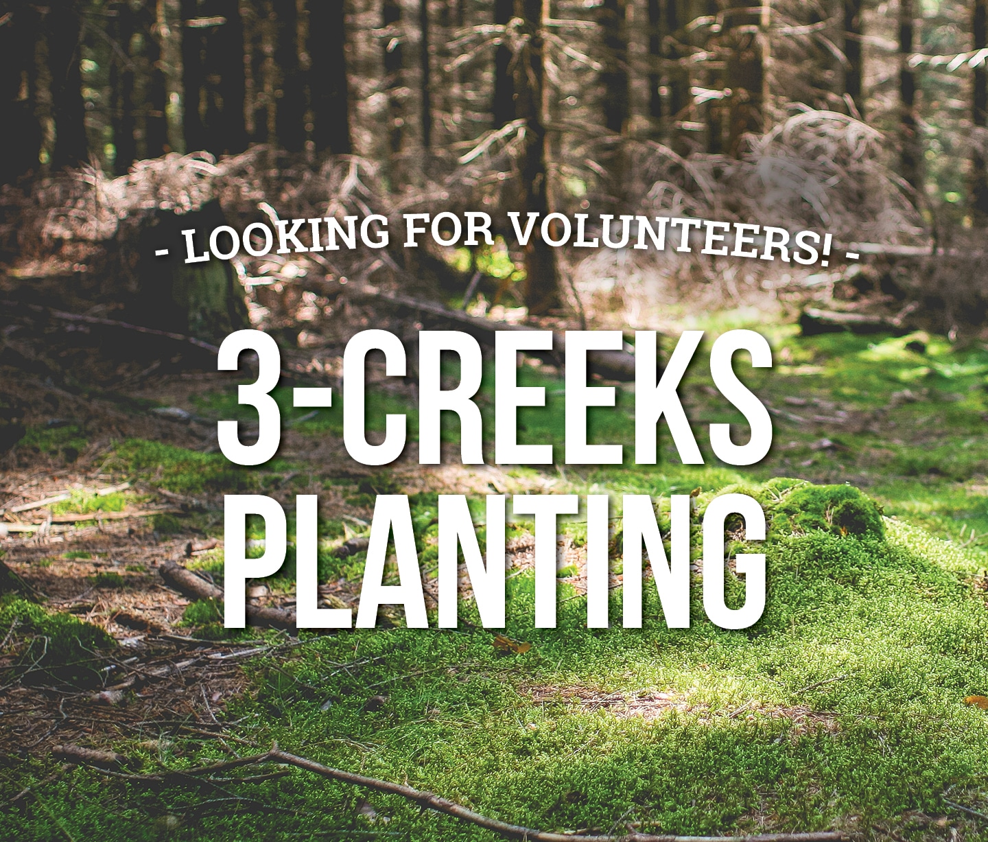 3-Creeks Native Planting - North Clackamas Parks & Recreation District